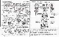 Devastator (orange) hires scan of Instructions